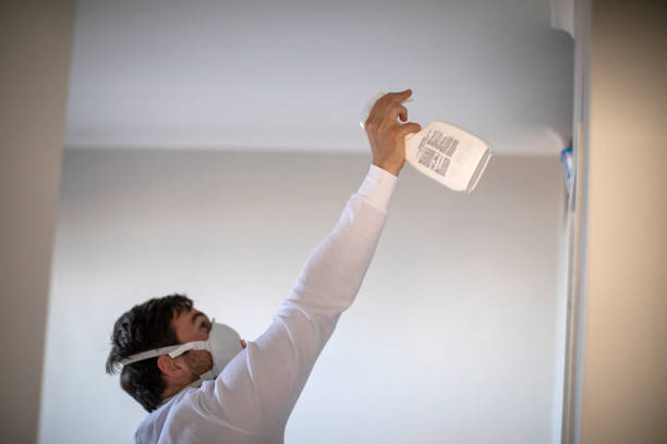 Best Residential Mold Removal  in Grand Point, LA